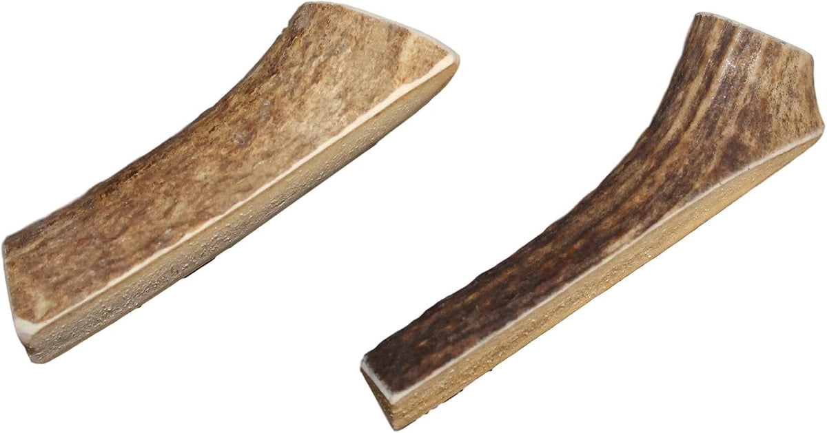 Elkhorn Premium Chews - Elk Antlers for Dogs, X Large (6-10") Split, 1 Pack, All Natural Dog Chew for X Large Dogs, Premium Naturally Shed Antler Bone for Aggressive Chewers, Sourced in the USA - Image 12