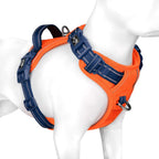 PHOEPET 2019 Upgraded No Pull Dog Harness, Reflective Adjustable Vest, with a Training Handle + 2 Metal Leash Hooks+ 3 Snap Buckles +4 Slide Buckles(L, Pink) - Image 11
