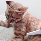 Ergonomic anti-slip rubber handle of pet grooming comb