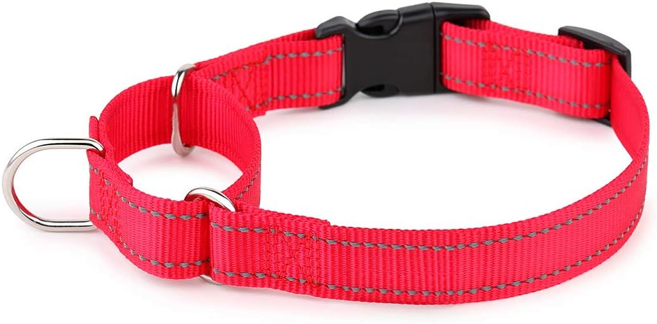 PLUTUS PET Reflective Martingale Collar with Quick Snap Buckle,No Pull Dog Choker Collar for Small Medium Large Dogs,M,Hot Pink - Image 12