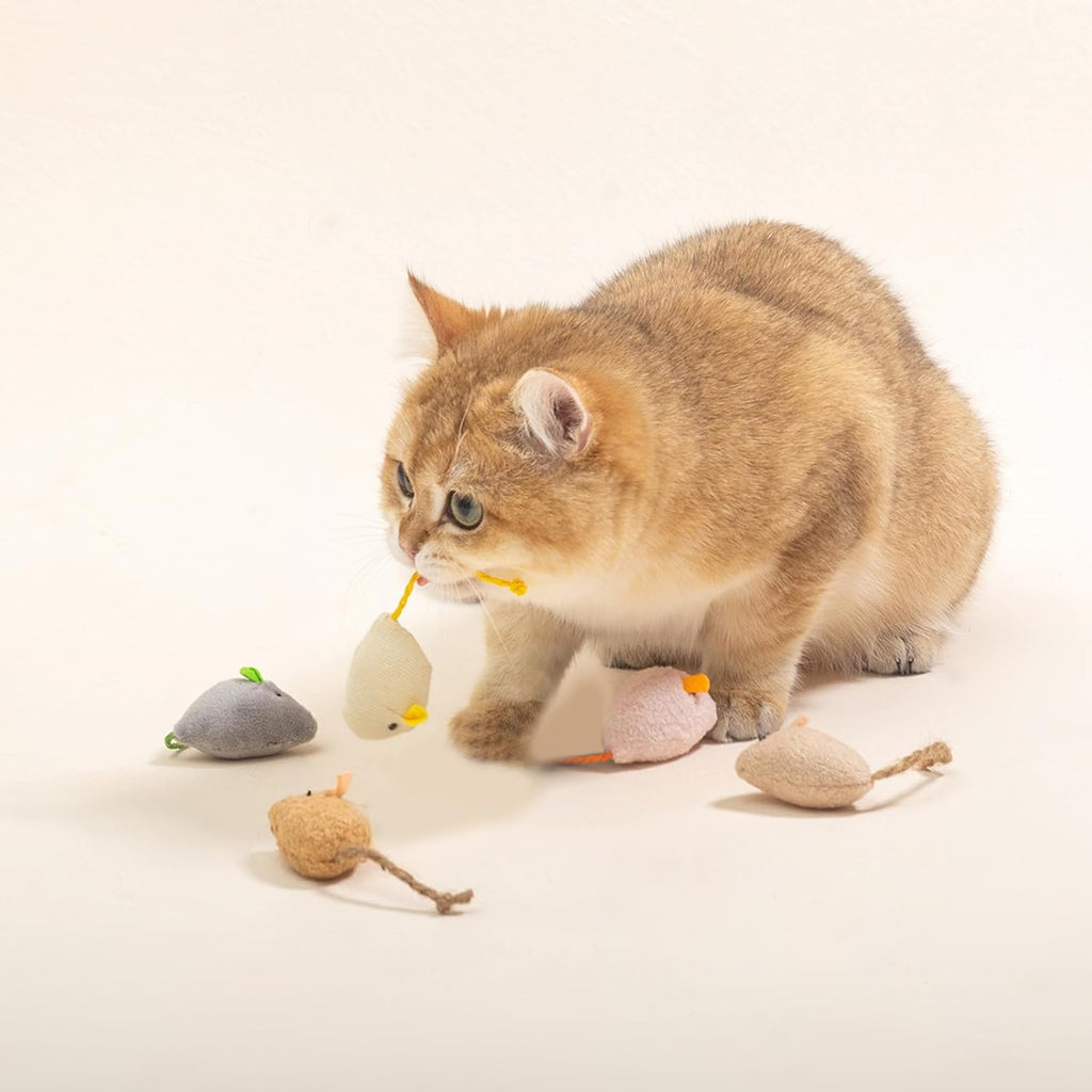 Five piece interactive animal toy set for eliminating indoor cat boredom