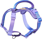 DF Freedom dog harness lifestyle shot for comfortable fit