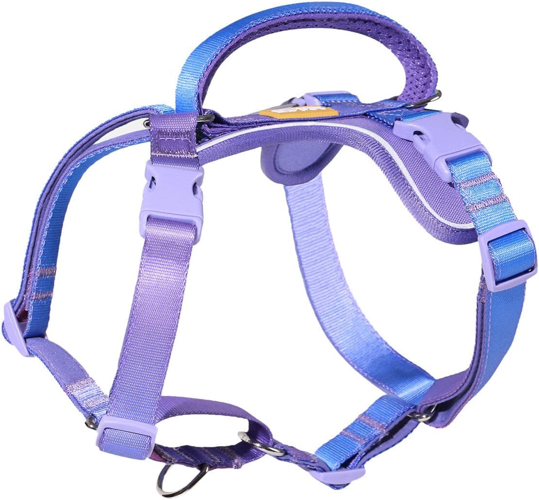 DF Freedom dog harness lifestyle shot for comfortable fit