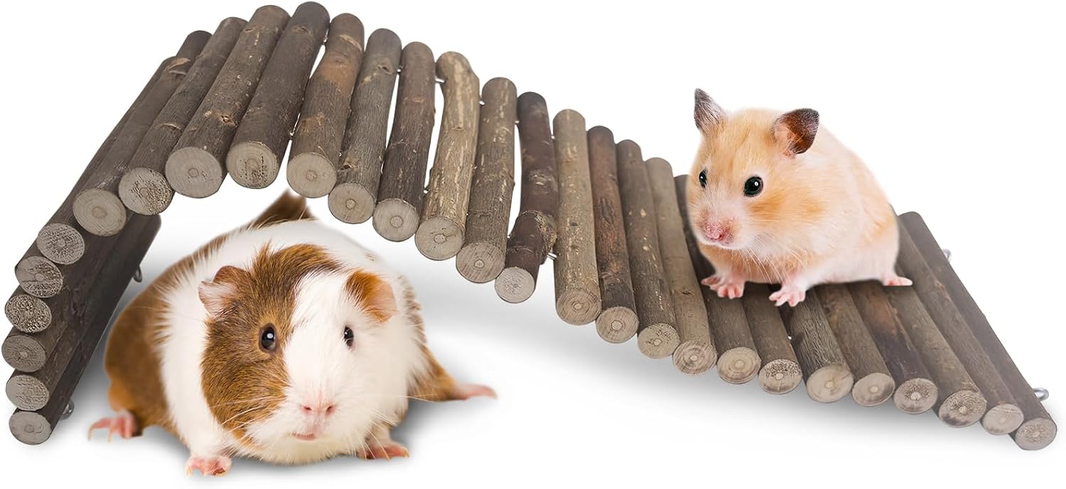 Hamiledyi pet habitat bridge showing dimensions of twenty-one point seven inches long.