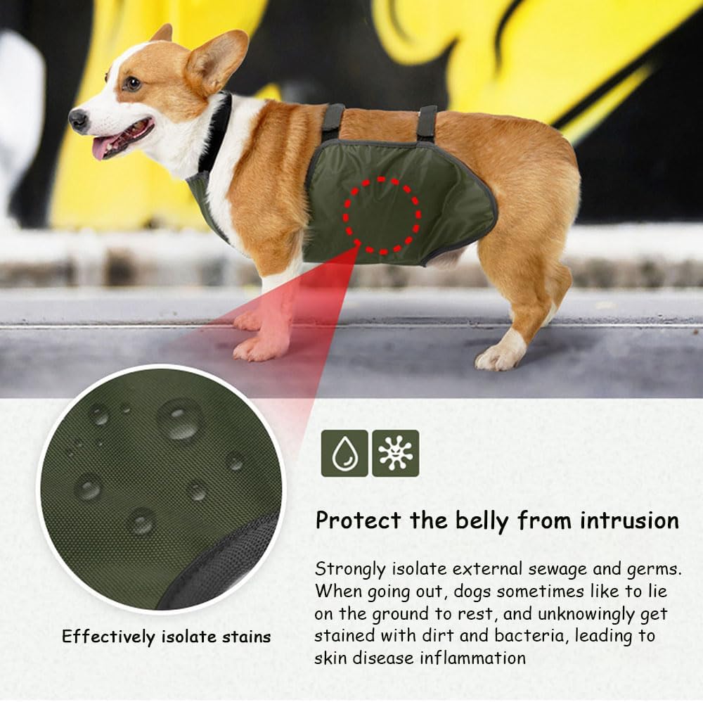 Occupiedpet dog chest protector vest close up on adjustable straps