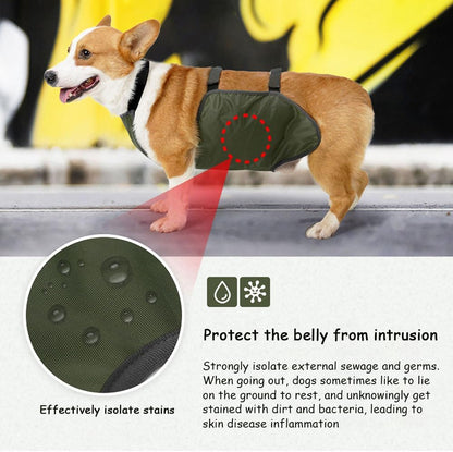 Occupiedpet dog chest protector vest close up on adjustable straps