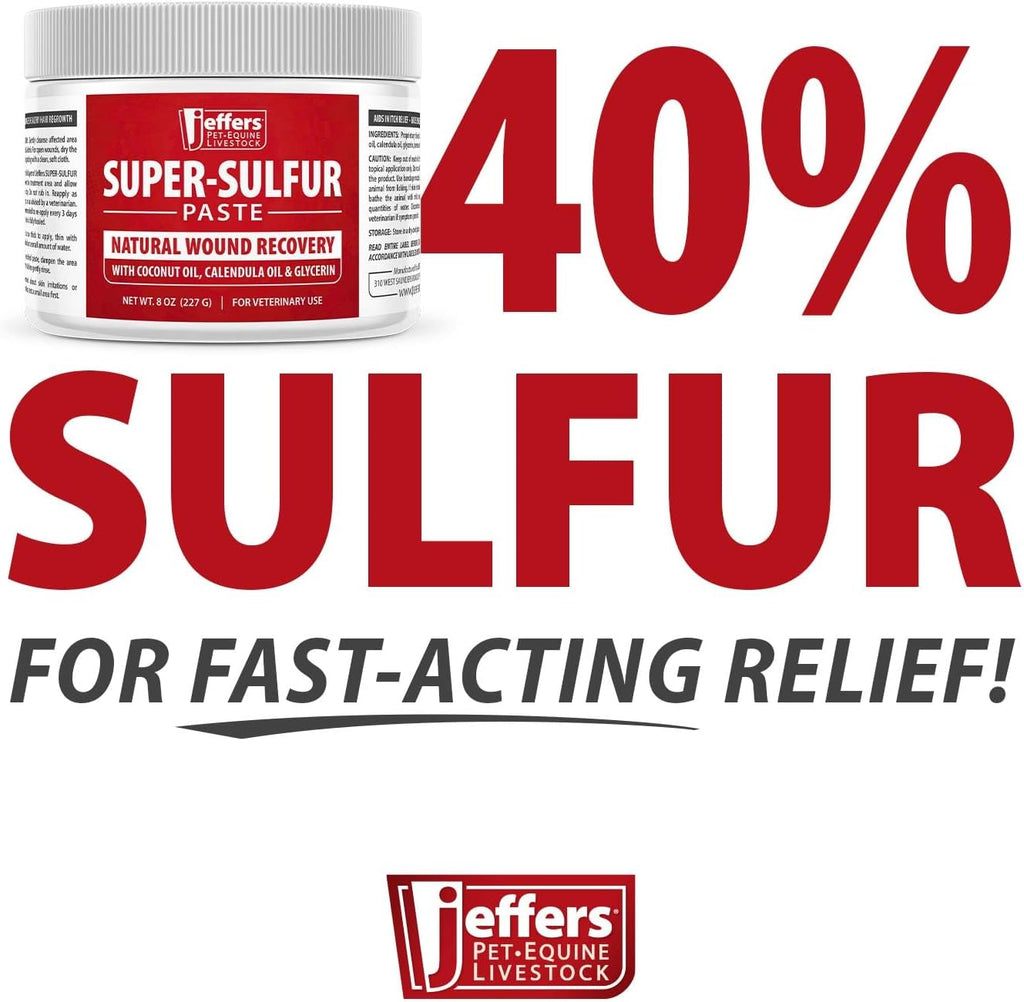 Veterinary grade sulfur healing paste for wound recovery