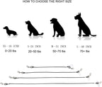 Durable plastic coated steel cable of Mogoko dog seatbelt