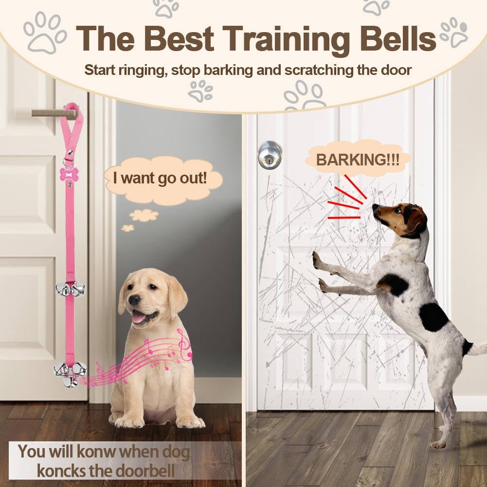 Puppy ringing Kexiava doorbell to go outside