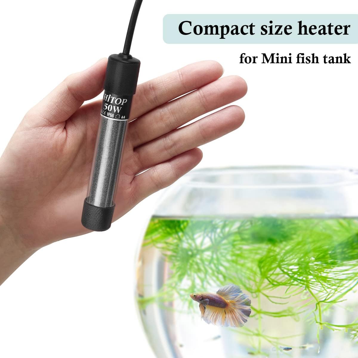 Hitop submersible heater components including suction cups and protective cover