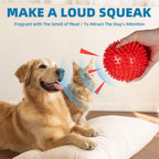 Labeol interactive dog toy for fetch and training