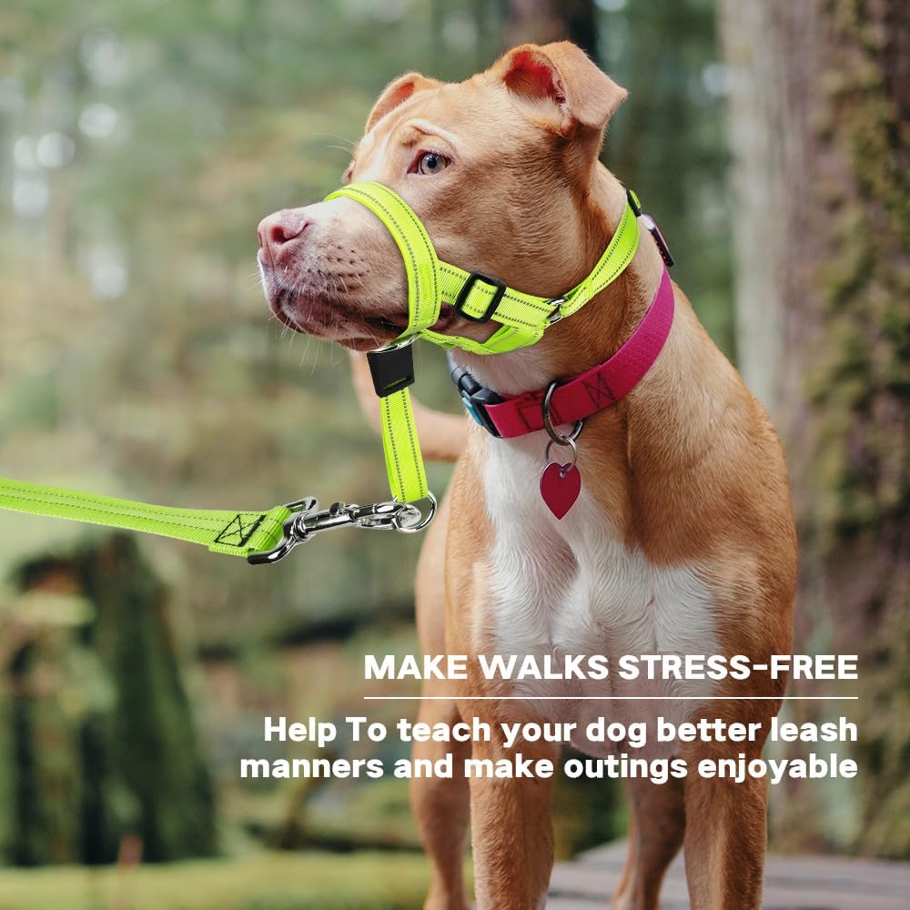 Close-up of the soft padded nose loop on the green Candofly gentle leader halter.
