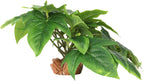 Reptile Plants for Terrarium, Ball Python Tank Decor Accessories fit Bearded Dragon Crested Leopard Gecko Lizard Chameleon Snake Frog Tortoise Hermit Crab - Fake Monstera - Image 10