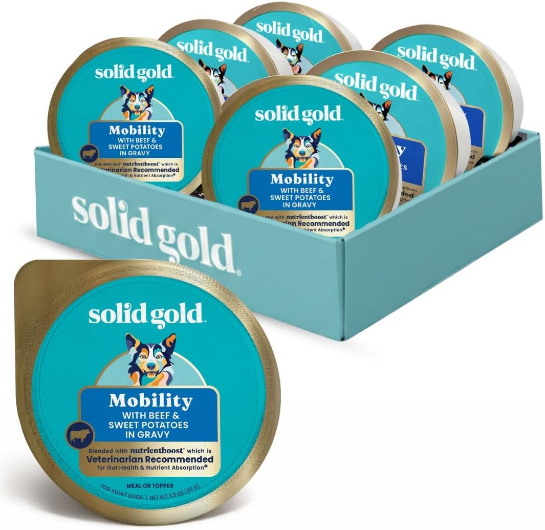 Solid Gold Beef and Sweet Potato wet dog food 6 pack front view