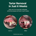 PetODent plaque and tartar reduction paste for puppy oral care