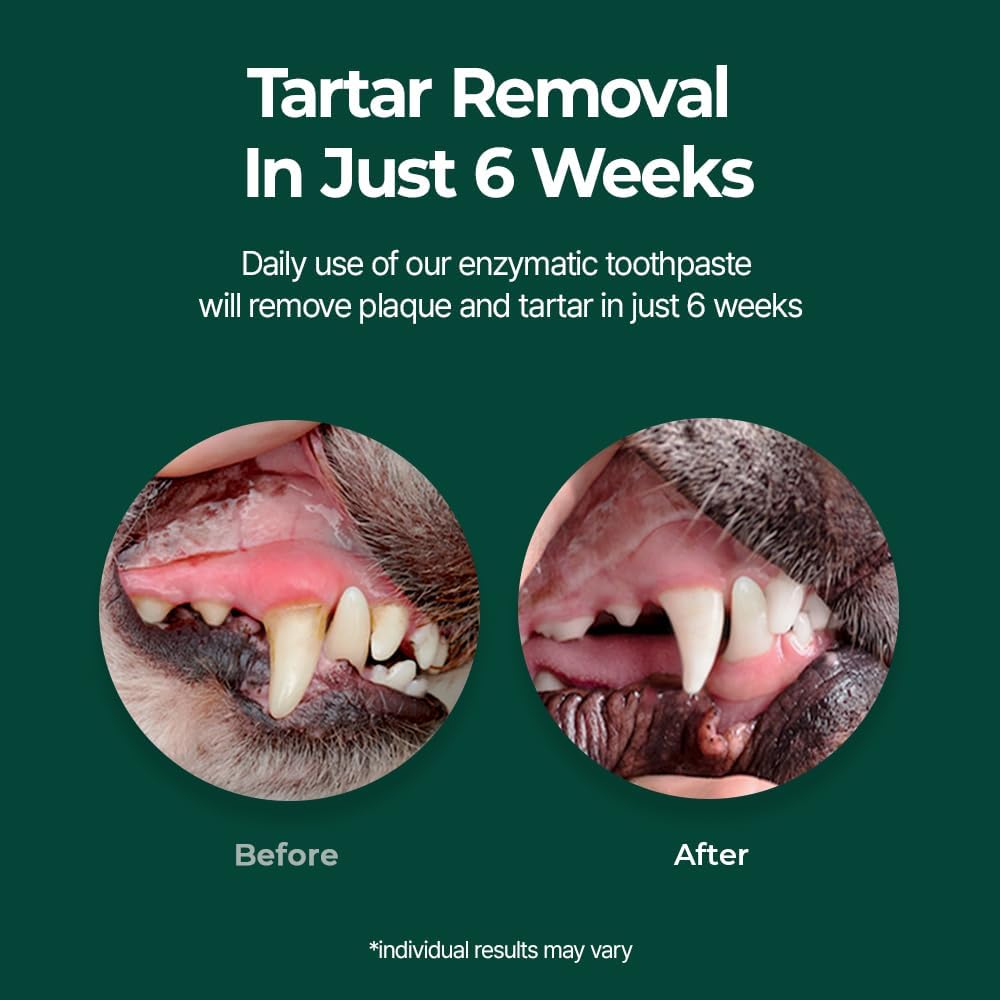 PetODent plaque and tartar reduction paste for puppy oral care