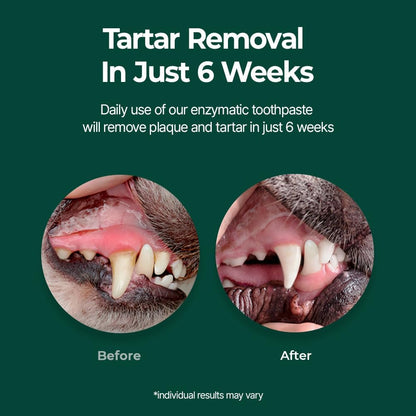 PetODent plaque and tartar reduction paste for puppy oral care