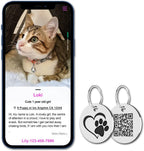 Instant GPS location alert email notification display on a mobile smartphone screen