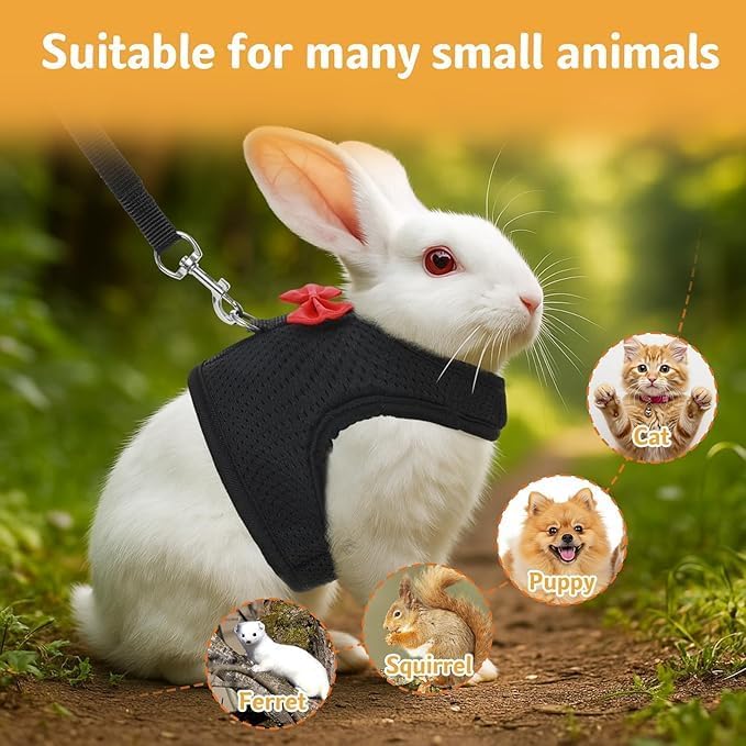Back angle view of the escape-proof PSPORT kitten and ferret harness in size small