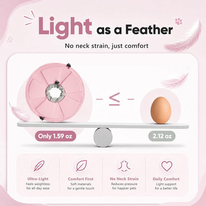 Kitten wearing Pawfun pink soft cone while sleeping comfortably