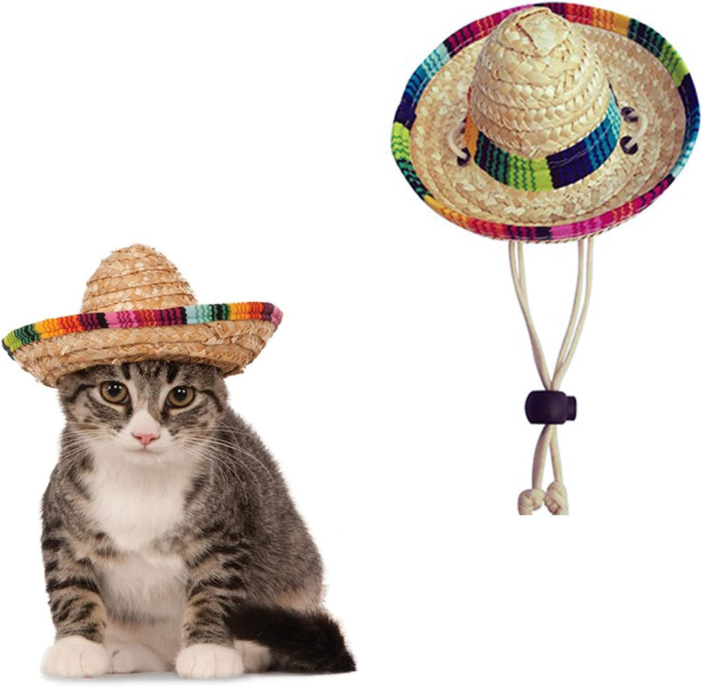 Awocan pet straw hat Mexican sombrero on small puppy