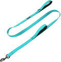 Max and Neo double handle traffic dog leash teal front view