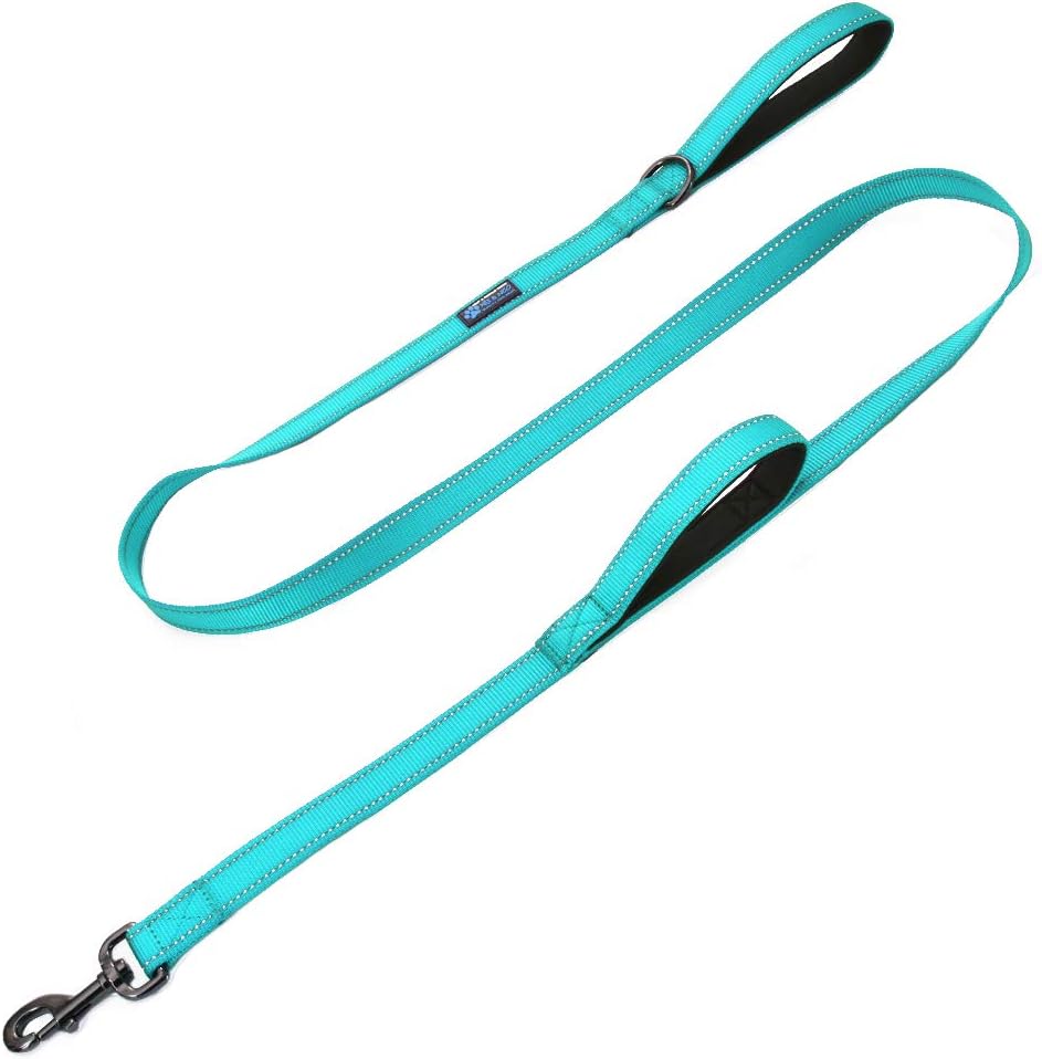 Max and Neo double handle traffic dog leash teal front view