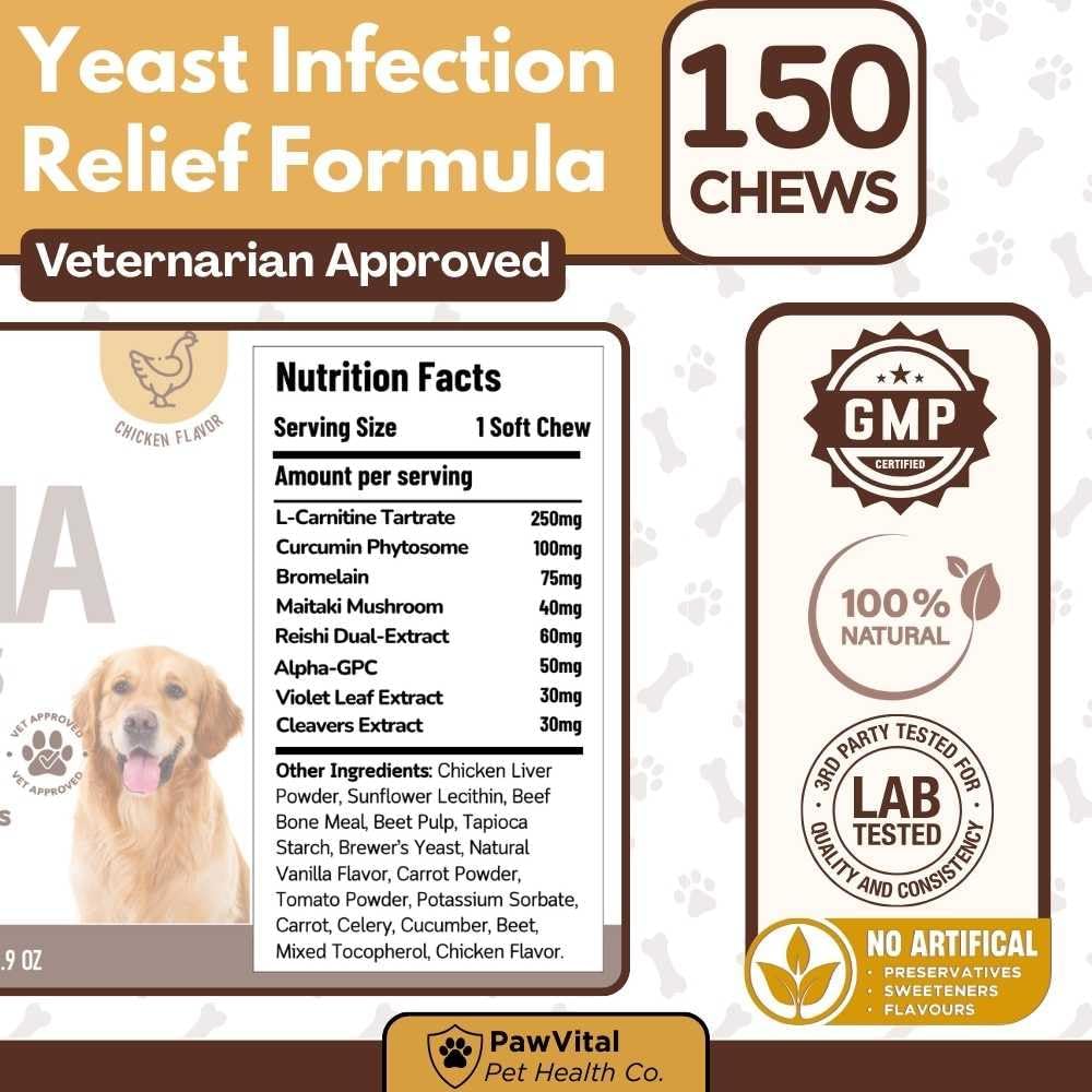 Turkey Tail mushroom soft chews for canine immune and metabolic health.