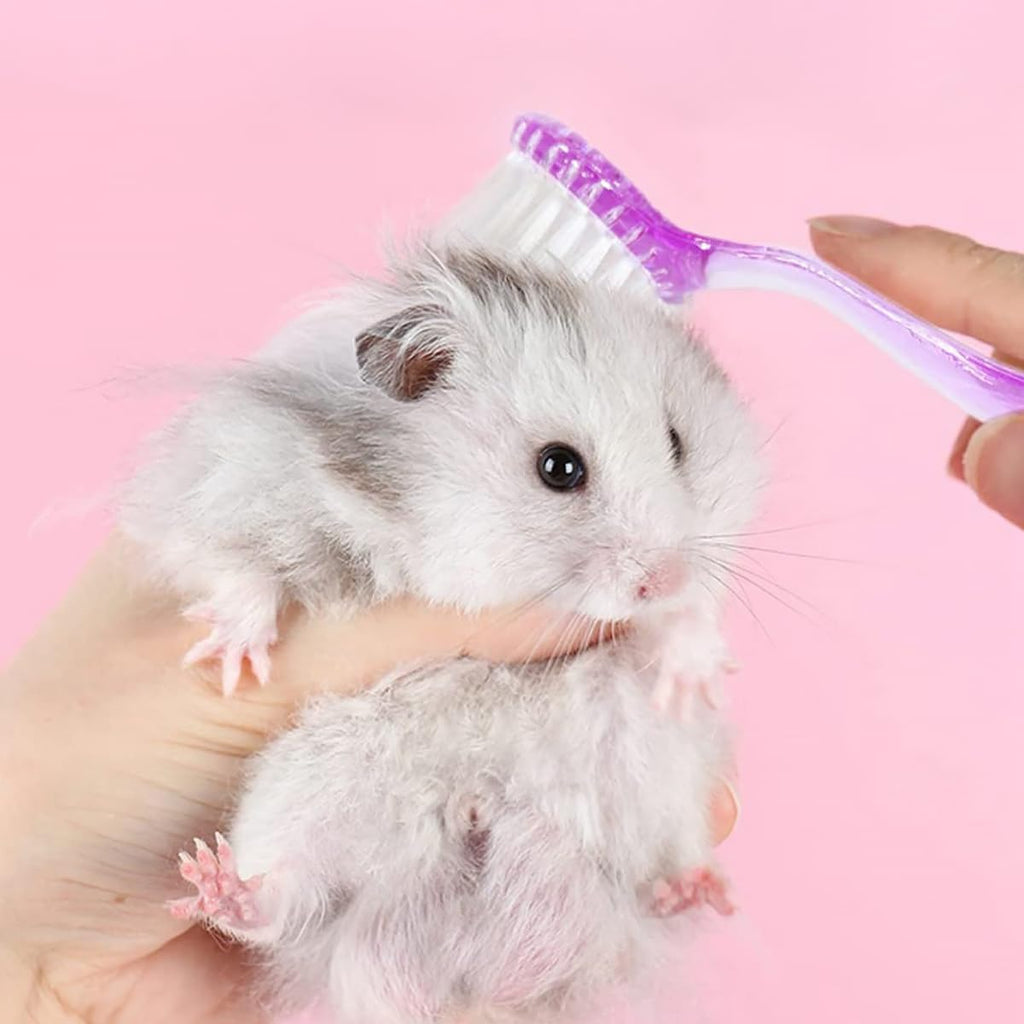 Livaprul soft cleansing brush with lid detached showing the ergonomic handle design.