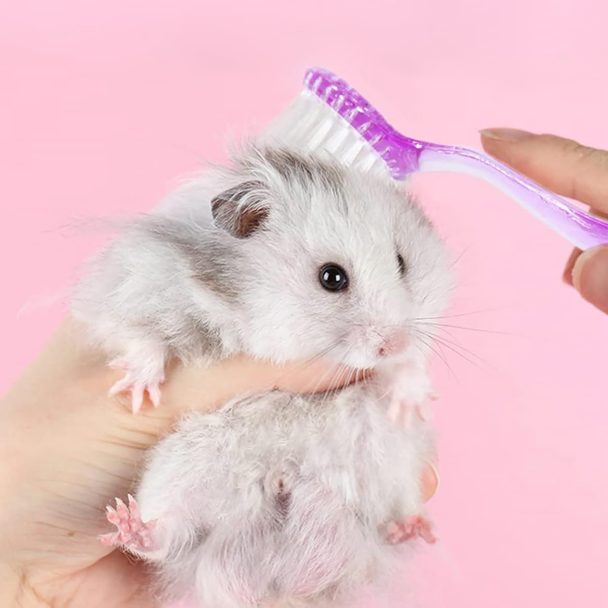 Livaprul soft cleansing brush with lid detached showing the ergonomic handle design.