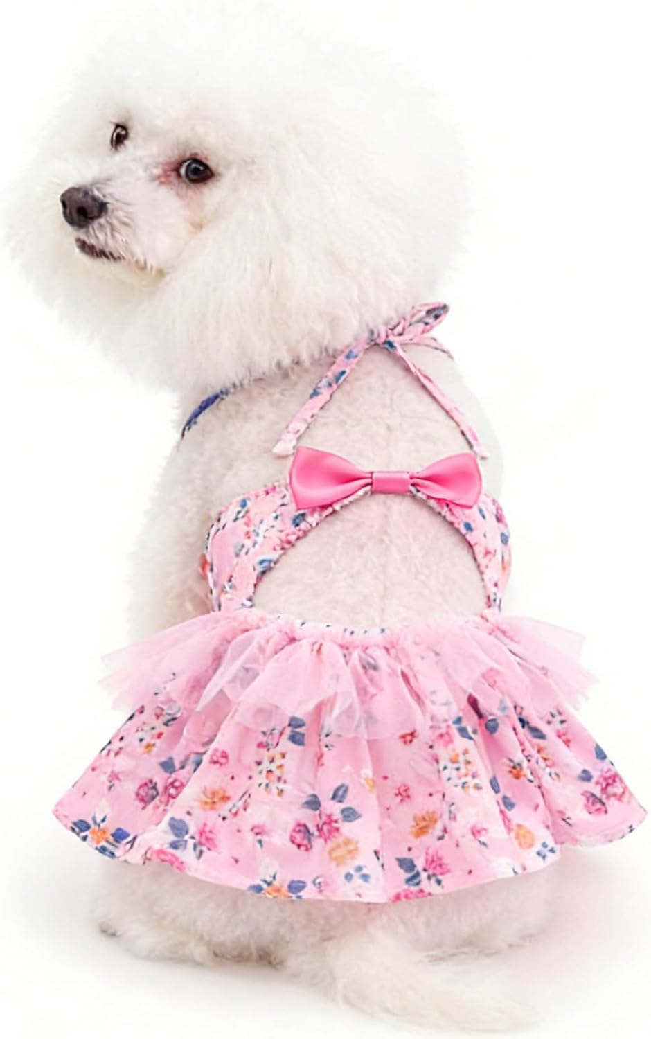 CuteBone stylish puppy beach costume modeled front perspective view