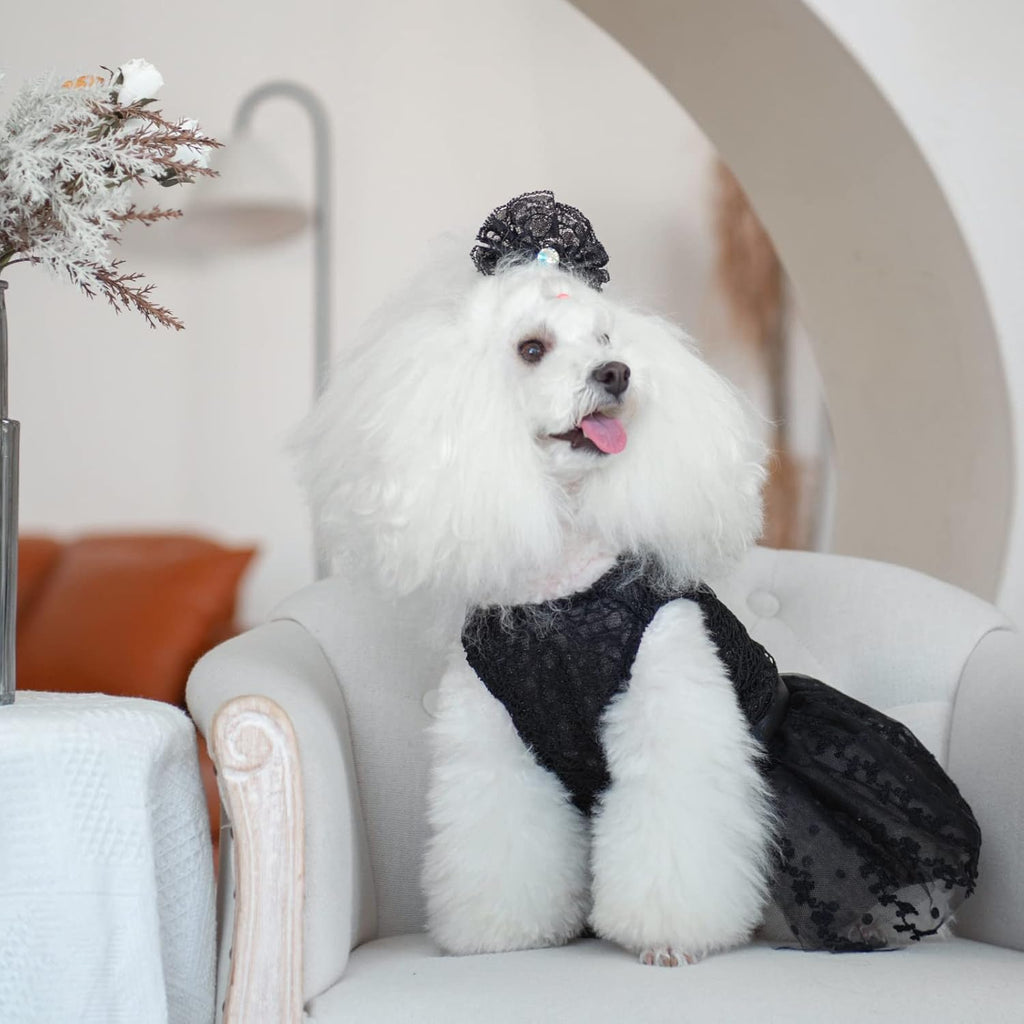 CuteBone dog princess dress elegant celebratory outfit display