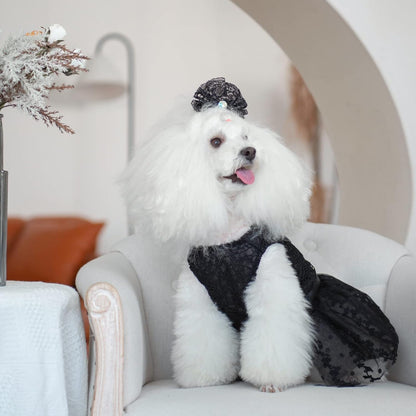 CuteBone dog princess dress elegant celebratory outfit display