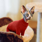 Sphynx cat wearing comfortable red indoor jumpsuit