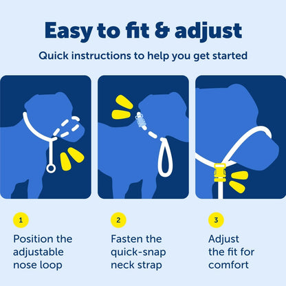 PetSafe Gentle Leader No-Pull Dog Headcollar - The Ultimate Solution to Pulling - Redirects Your Dog's Pulling for Easier Walks - Helps You Regain Control - Medium, Black - Image 7