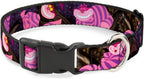 High-density polyester cat collar full length flat lay display