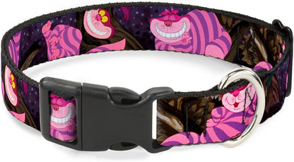 Packaging view of the authentic USA imported Buckle-Down breakaway cat accessory showing official Disney licensing labels