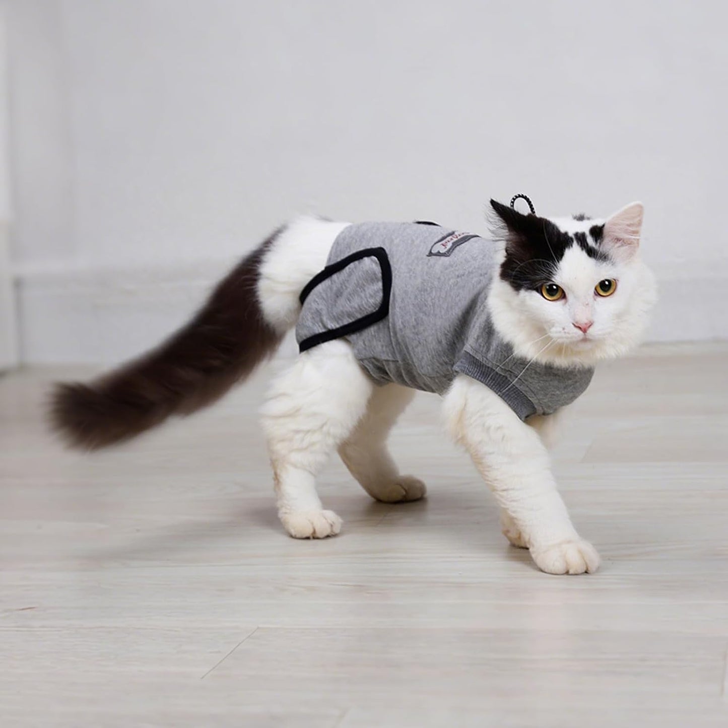 Packaging and size chart illustration of DogLemi cat recovery wear