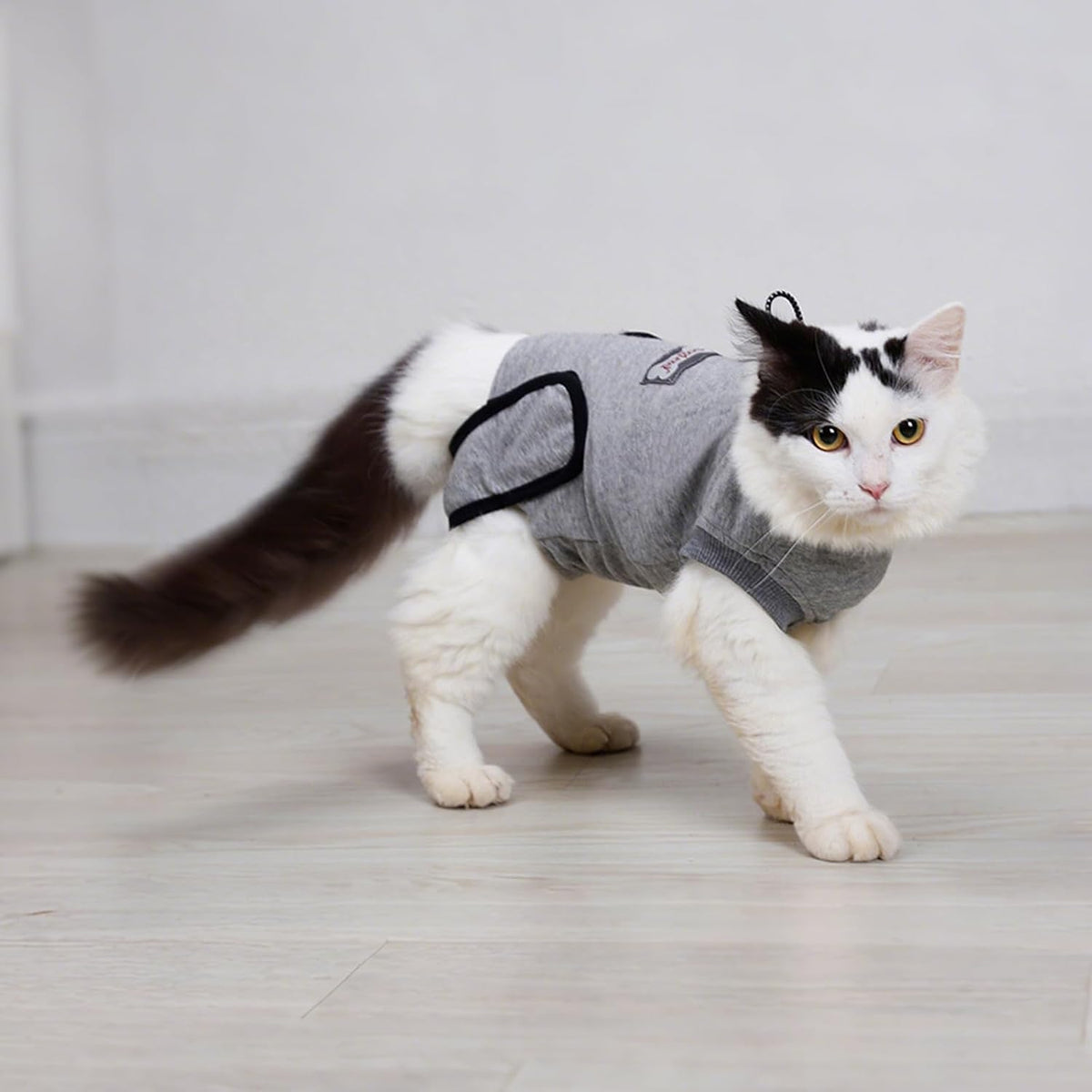 Doglemi feline spay recovery outfit worn on a cat
