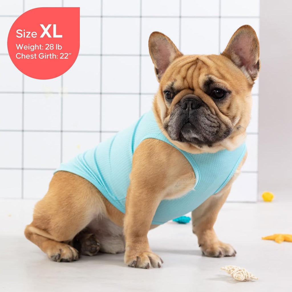 Two Kyeese dog shirts displayed flat on surface