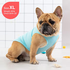 Two Kyeese dog shirts displayed flat on surface