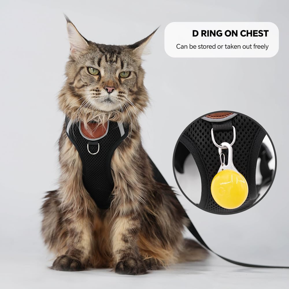 Side view of a large cat wearing the skmeditec escape proof walking vest with matching leash attached.
