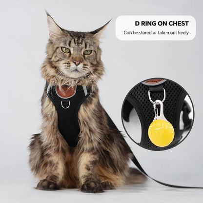 Side view of a large cat wearing the skmeditec escape proof walking vest with matching leash attached.