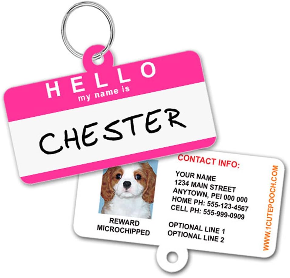 1 Cute Pooch hello name badge pet tag angled to highlight coated finish