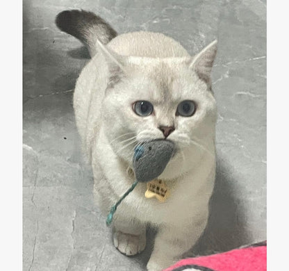 Caticalife eco friendly catnip mouse toys set displayed with the included organic catnip bag for refreshing the scent