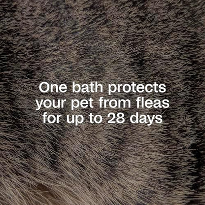 Adams Plus Flea and Tick Shampoo rich lather on a long-haired pet.