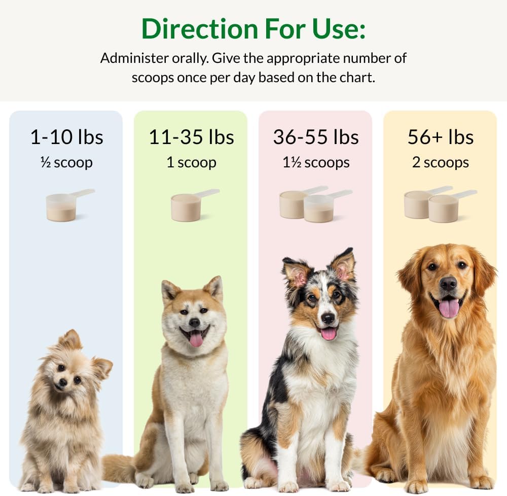 Nutra Thrive for dogs powder showcasing premium probiotics and mushroom blend advantages