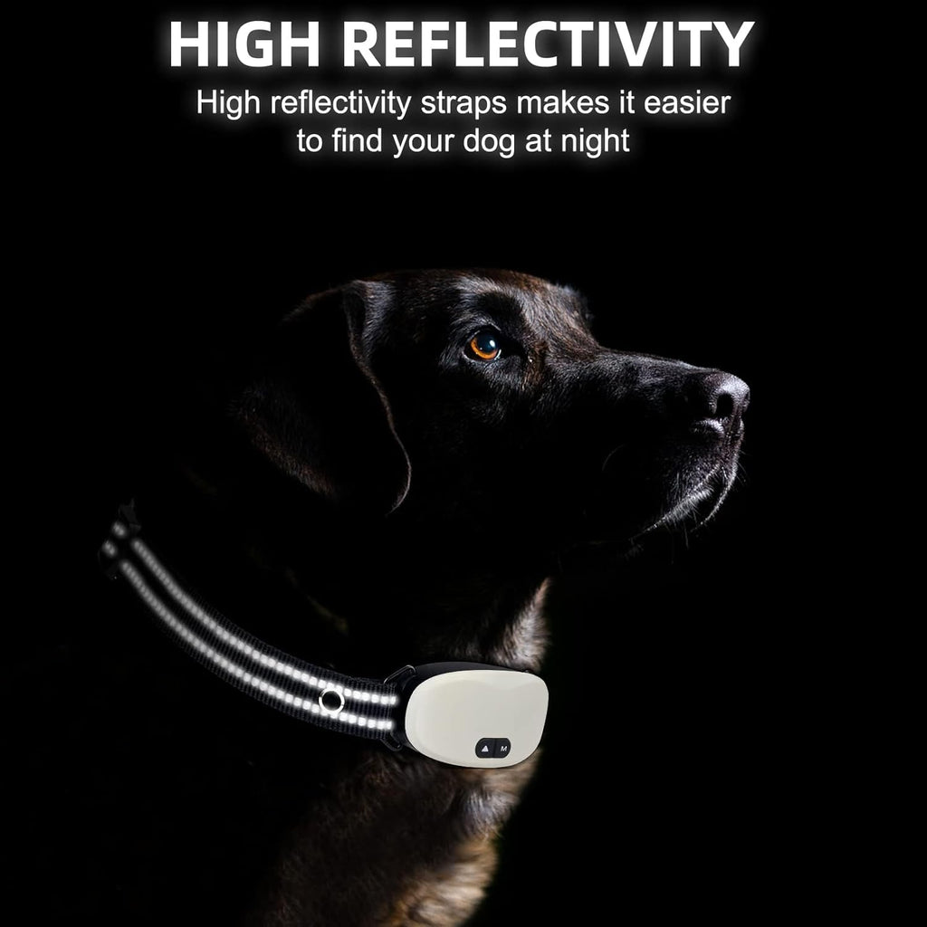 Black nylon replacement strap for dog training collars