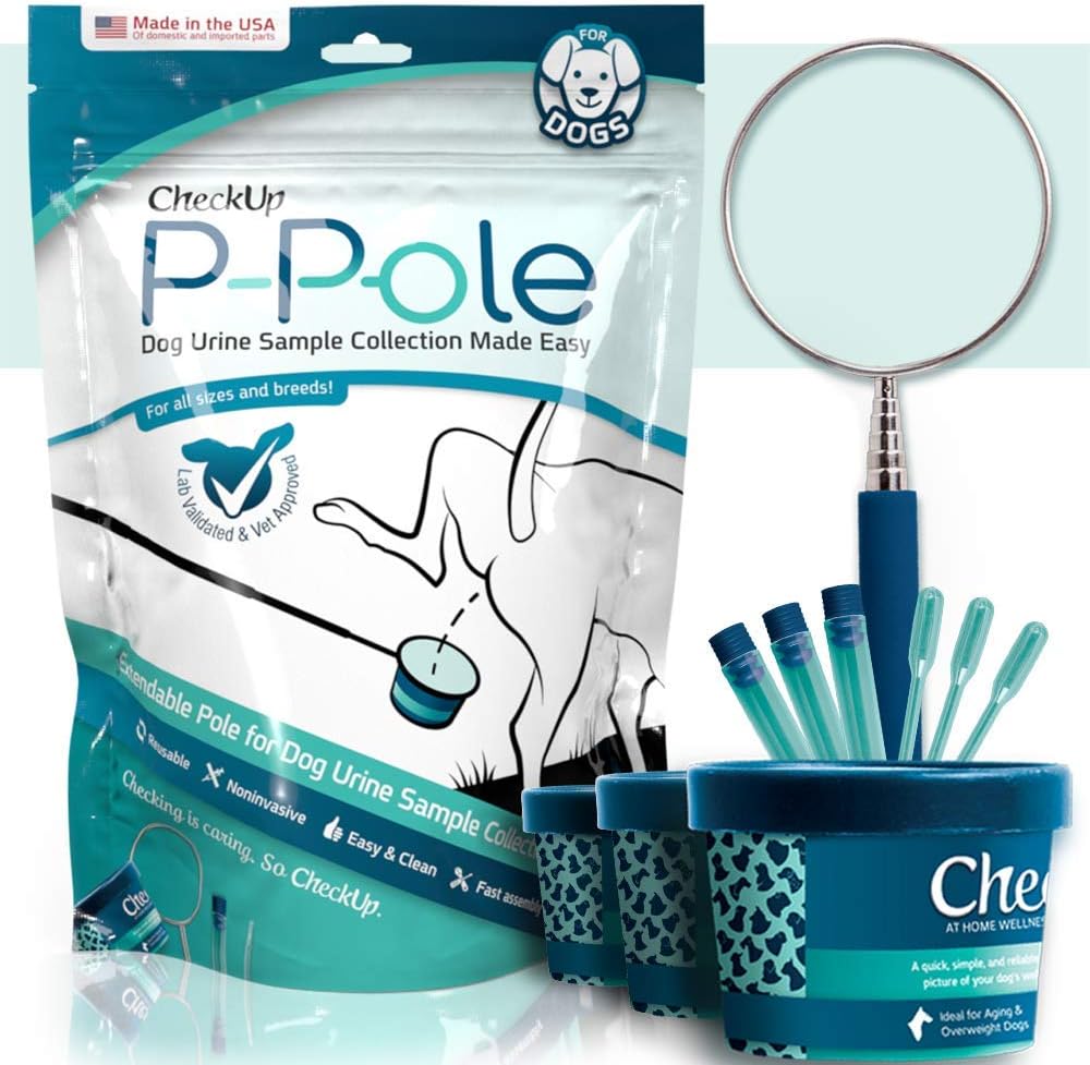 Canine urine health testing kit for routine veterinary wellness checkups