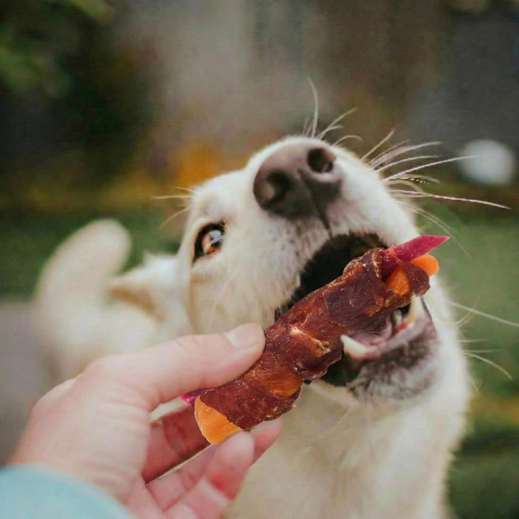 Healthy dog training treats with real duck breast for dental care